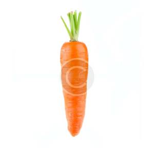 Carrot